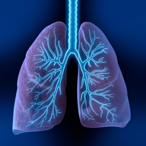 Lungenkrebs findet der Pneumologe vor allem im oberen Teil der Lunge
